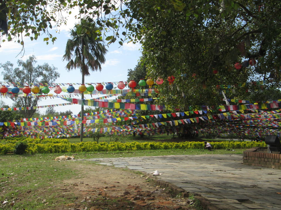 Photo of Lumbini, Nepal by The Nomad