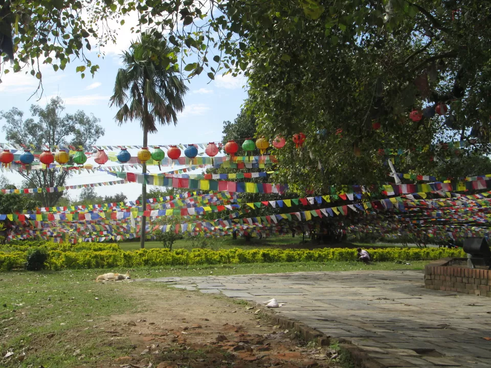 Photo of Lumbini, Nepal by The Nomad