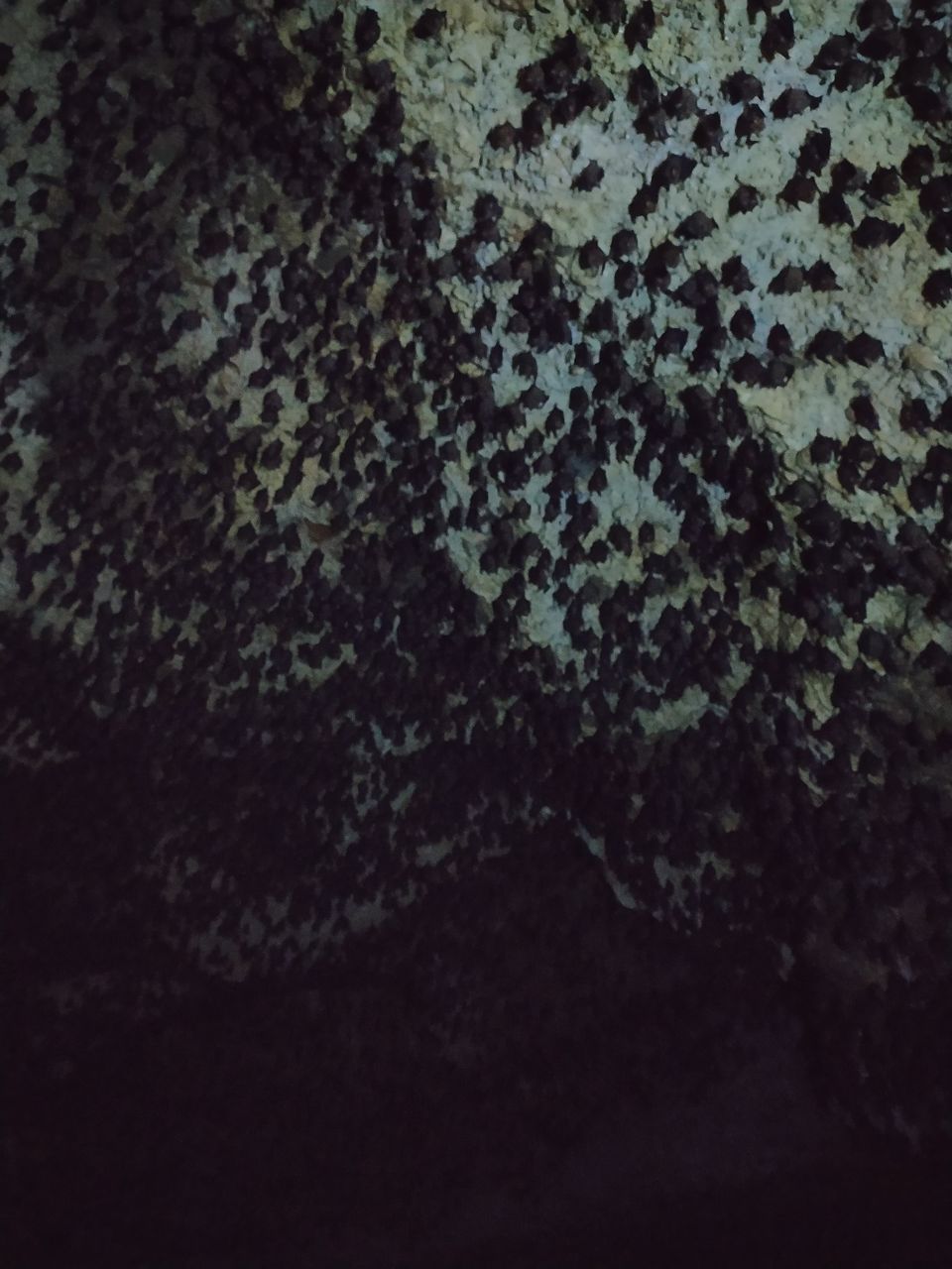 Photo of Bat Cave, Pokhara, Nepal by The Nomad