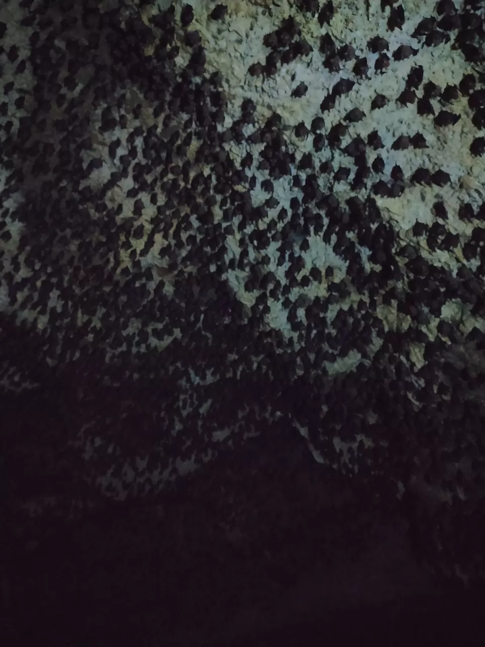 Photo of Bat Cave, Pokhara, Nepal by The Nomad