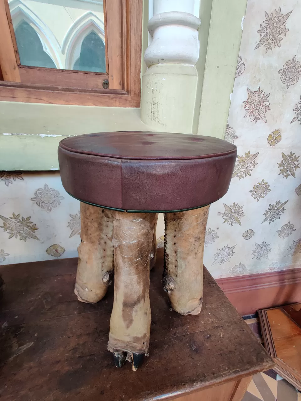 Photo of Bangalore Palace, Vasanth Nagar, Bengaluru, Karnataka, India by Anil Das