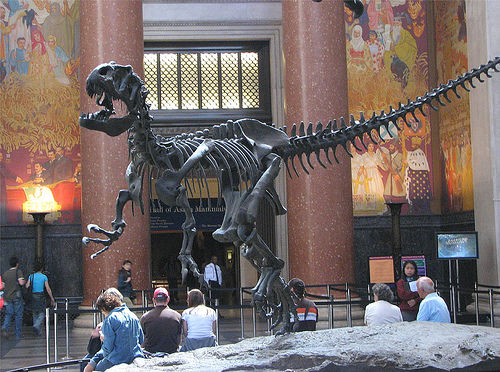Photo of American Museum of Natural History, Central Park W, New York, NY, United States by Rahul