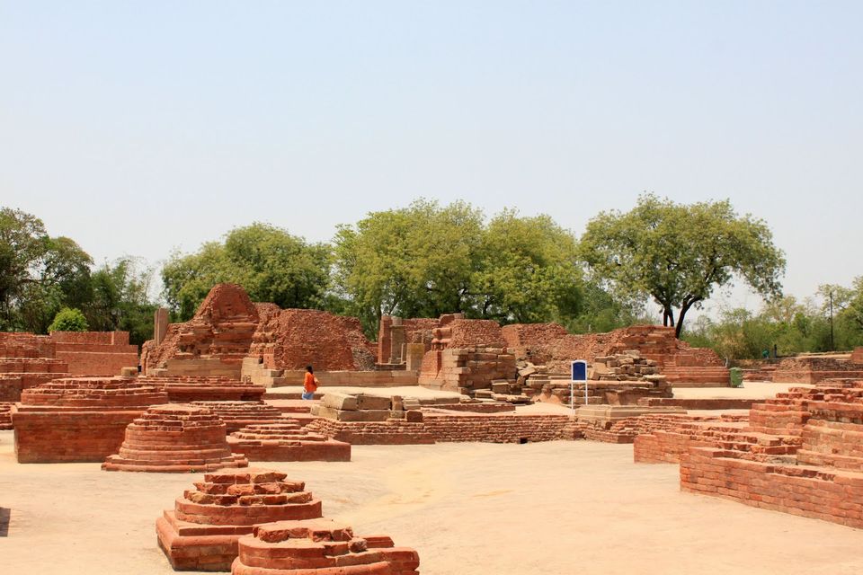 Photo of Sarnath, Varanasi, Uttar Pradesh, India by Rahul