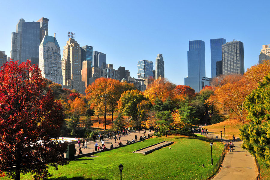 Photo of Central Park, New York, NY, United States by Rahul