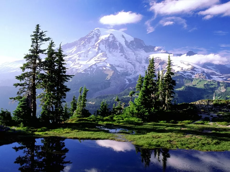 Photo of Mount Rainier, Pierce County, WA, United States by Rahul