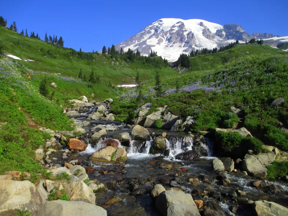 Photo of Mount Rainier, Pierce County, WA, United States by Rahul
