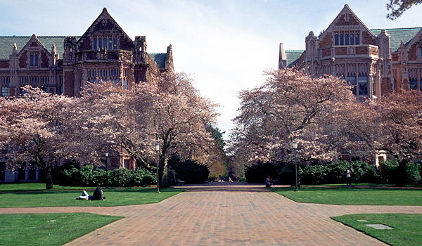 Photo of University of Washington, Seattle, WA, United States by Rahul