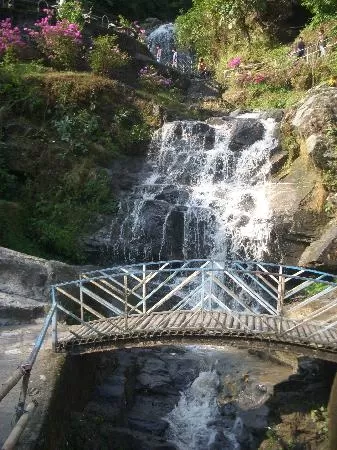 Photo of Rock Garden, Bloomfield Tea Garden, Darjeeling, West Bengal, India by Rahul