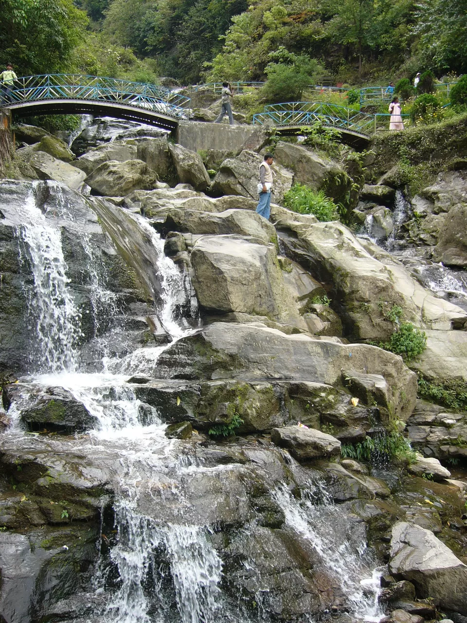 Photo of Rock Garden, Bloomfield Tea Garden, Darjeeling, West Bengal, India by Rahul