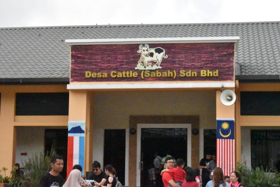 Photo of Desa Cattle Dairy Farm, Kundasang, Sabah, Malaysia by PriyaYorindren