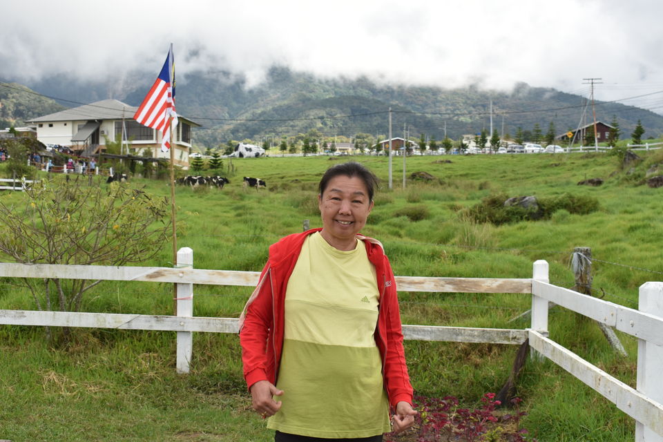 Photo of Desa Cattle Dairy Farm, Kundasang, Sabah, Malaysia by PriyaYorindren