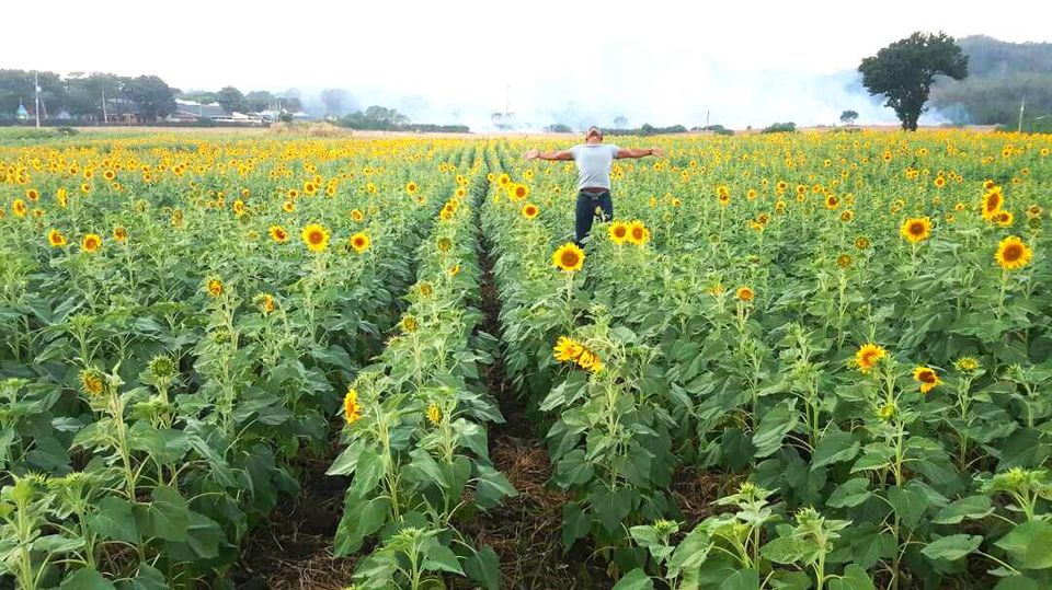 Photo of WHY VISIT KHAO YAI IN DECEMBER 2/3 by PriyaYorindren