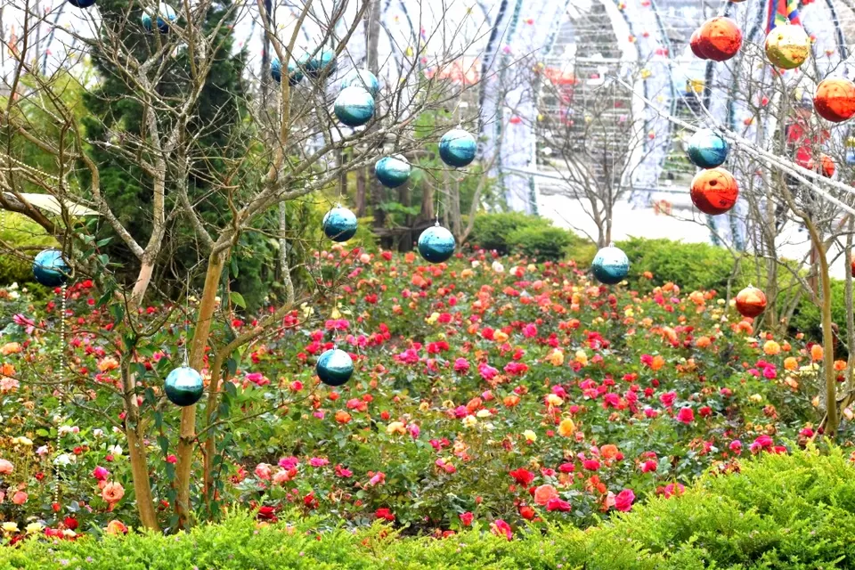 Photo of Fansipan, Sa Pa, Lao Cai, Vietnam by PriyaYorindren