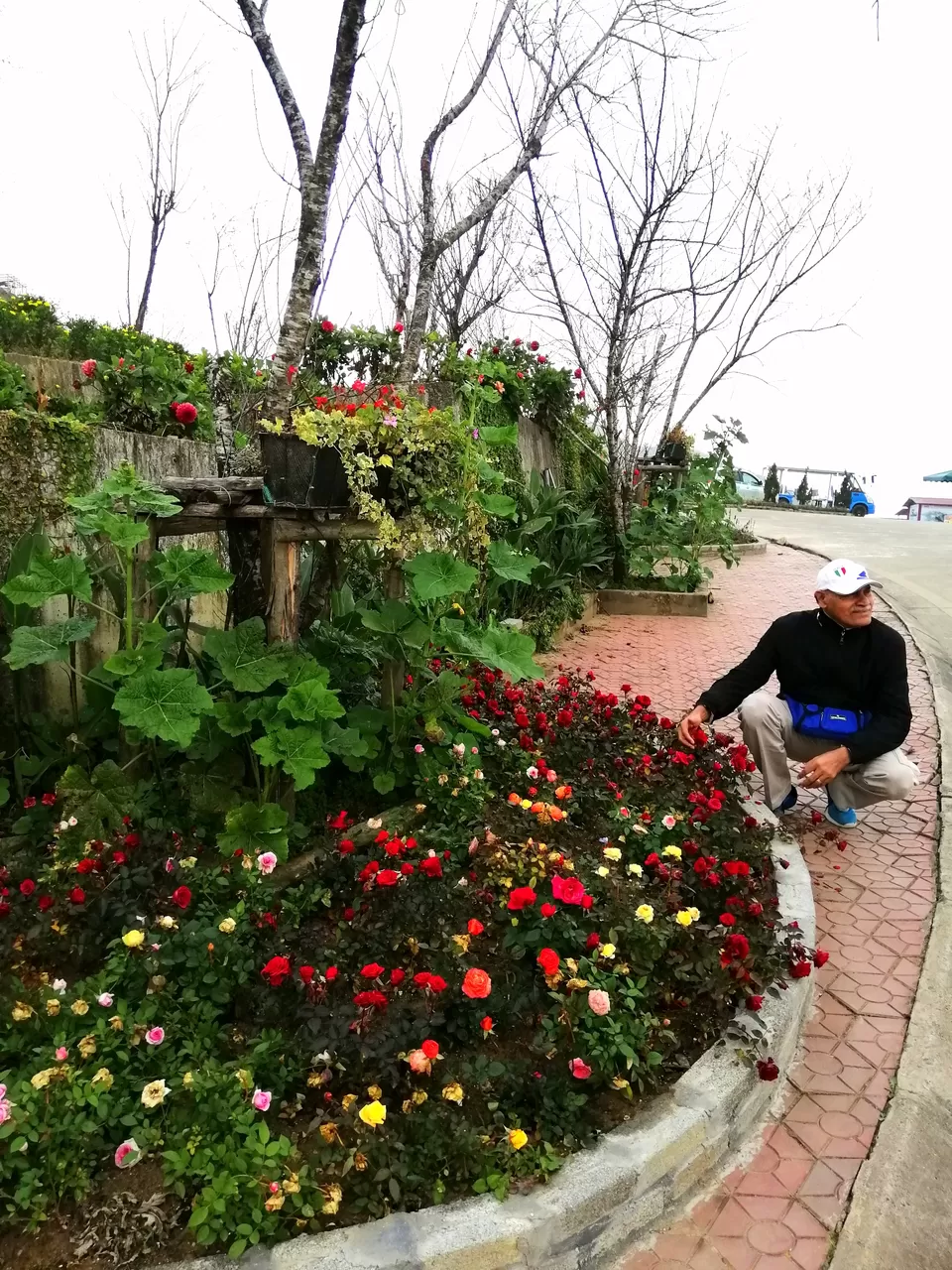 Photo of Fansipan, Sa Pa, Lao Cai, Vietnam by PriyaYorindren