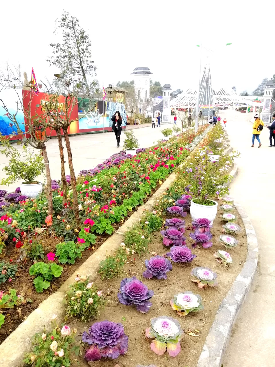 Photo of Fansipan, Sa Pa, Lao Cai, Vietnam by PriyaYorindren