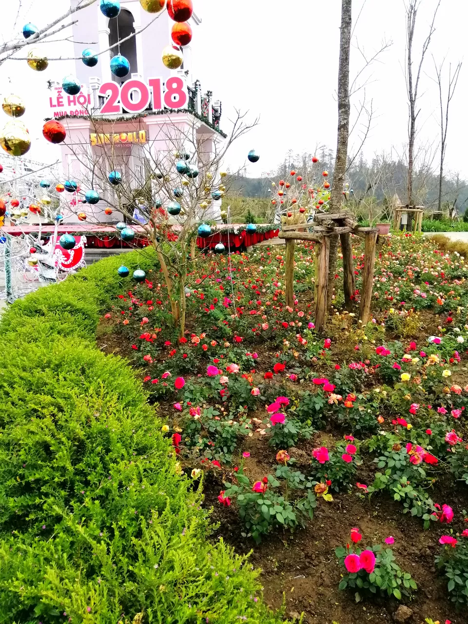 Photo of Fansipan, Sa Pa, Lao Cai, Vietnam by PriyaYorindren