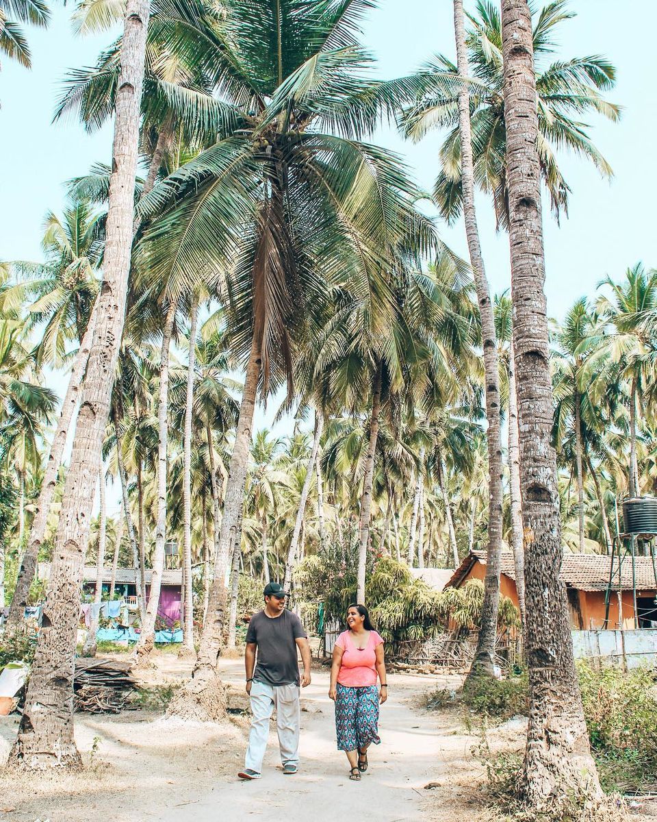Photo of Offbeat GOA: 7 things to do - Tonking Around by TonkingAround