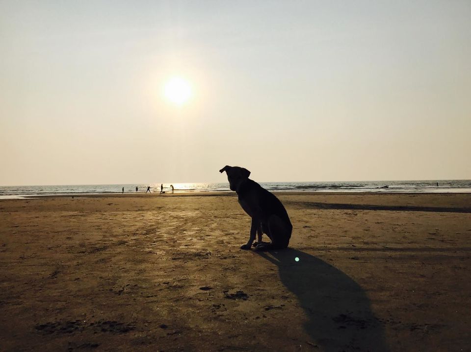 Photo of Our favorite beaches in GOA - Tonking Around 3/13 by TonkingAround