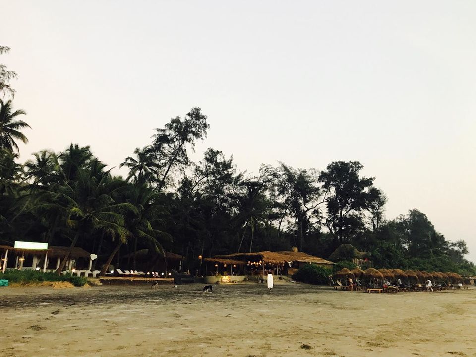 Photo of Our favorite beaches in GOA - Tonking Around 4/13 by TonkingAround