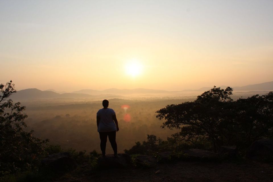 Photo of The Perfect 2 week Itinerary to Srilanka - Tonking Around 1/10 by TonkingAround