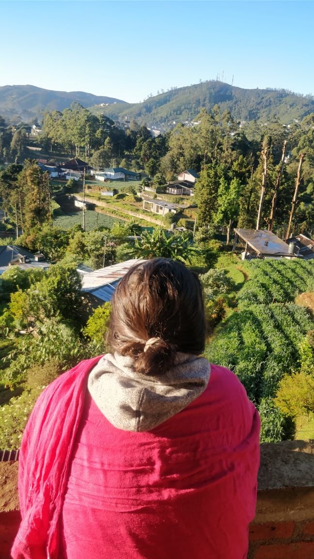 Photo of The Perfect 2 week Itinerary to Srilanka - Tonking Around 5/10 by TonkingAround