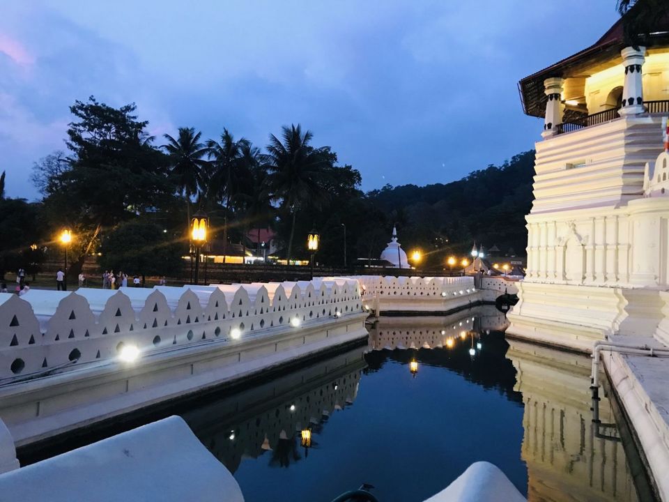 Photo of The Perfect 2 week Itinerary to Srilanka - Tonking Around 3/10 by TonkingAround