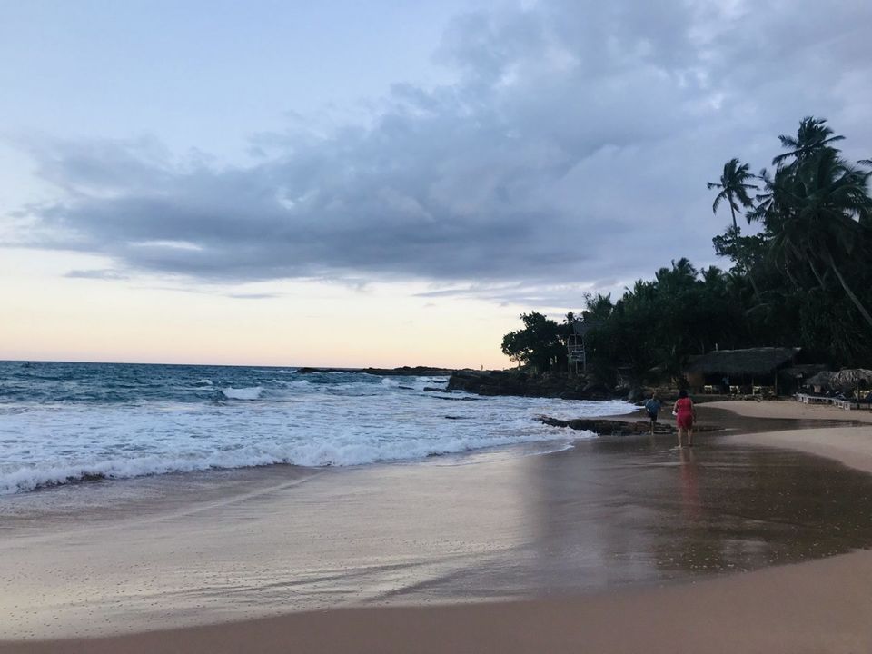 Photo of The Perfect 2 week Itinerary to Srilanka - Tonking Around 8/10 by TonkingAround