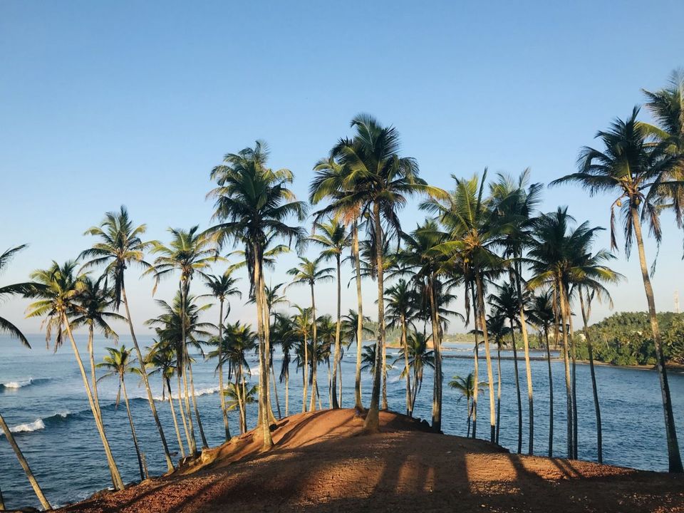 Photo of The Perfect 2 week Itinerary to Srilanka - Tonking Around by TonkingAround