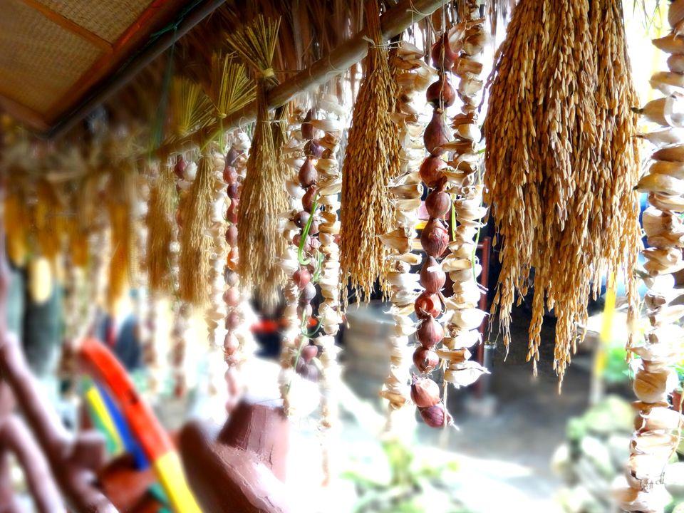 Photo of North East Diaries by Dhruv