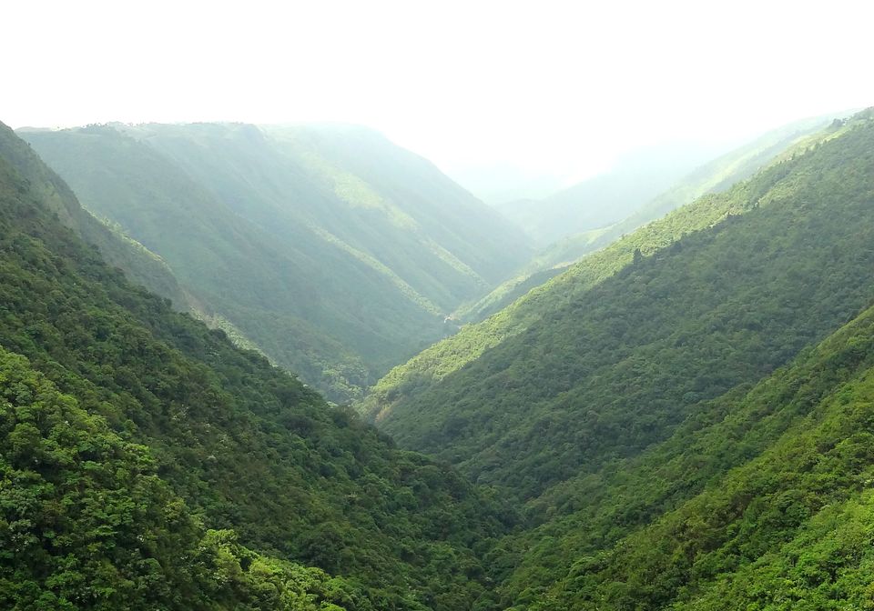 Photo of North East Diaries by Dhruv