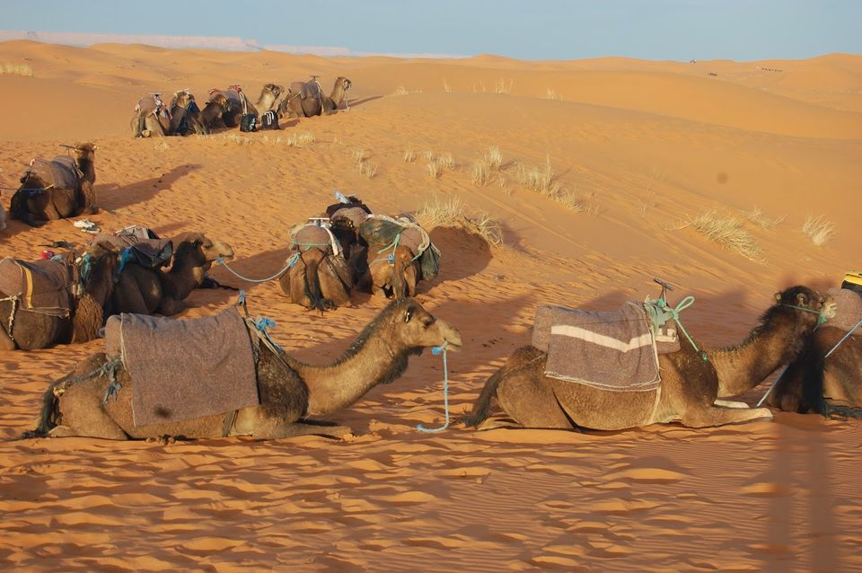 Photo of Sahara Desert, Morocco by Marta Chan