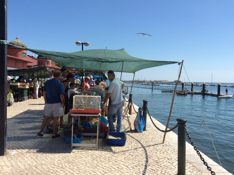 Photo of Off the beaten track Algarve, Portugal by Jenny and John in France
