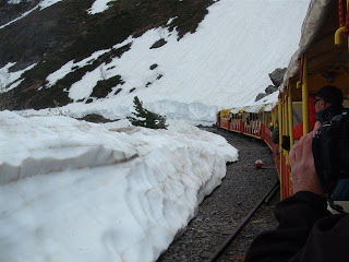Photo of Le Petite Train D'Artouste, France 7/13 by Jenny and John in France