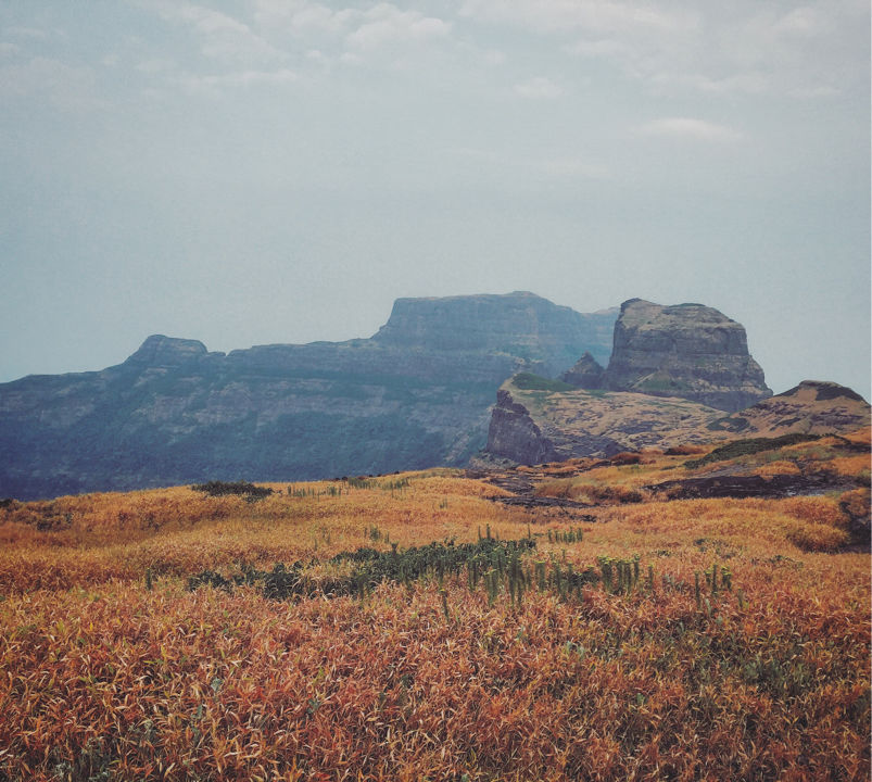 Photo of Alang, Ambewadi, Maharashtra, India by Vishal Bhanushali