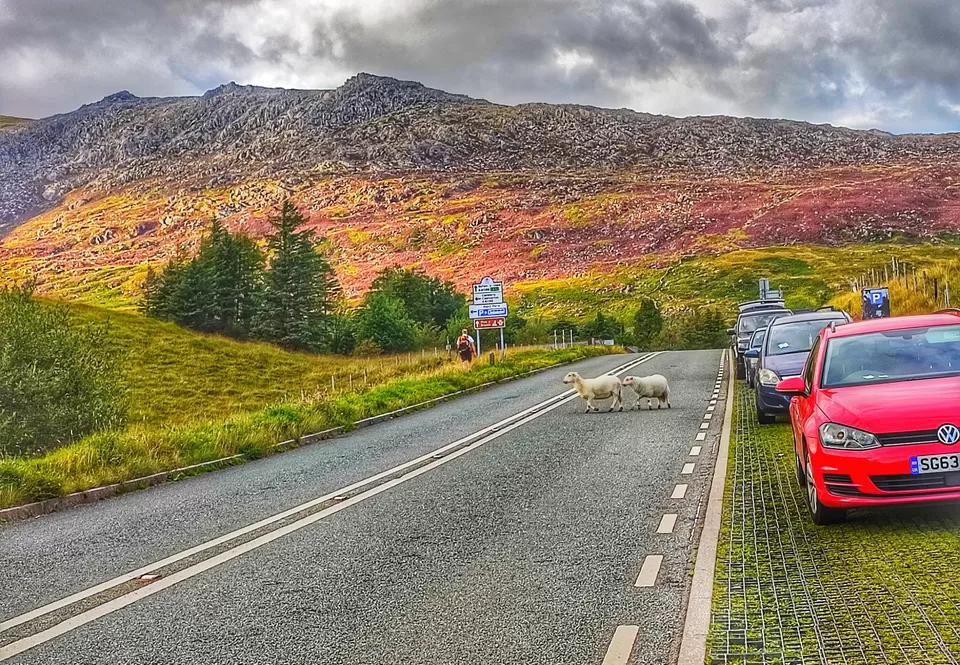 Photo of Snowdonia National Park by Meetu Varshney