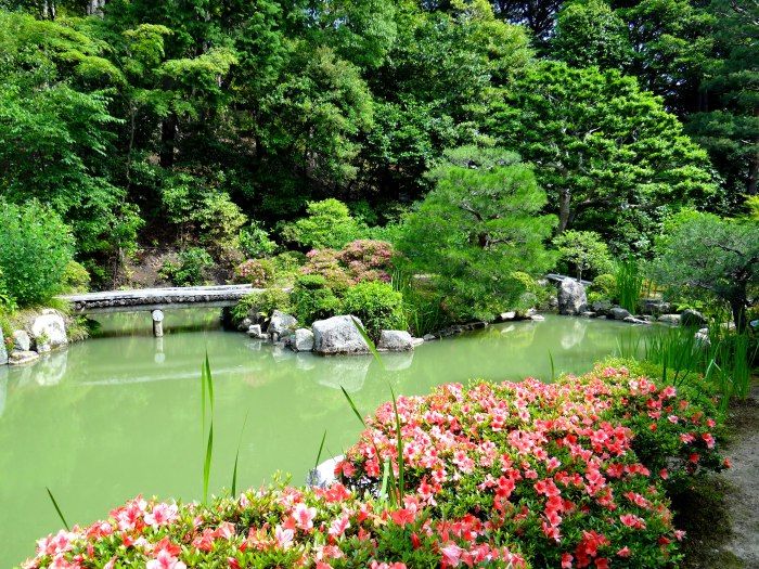 Photo of Japan: The 10 things I Miss and 1 Thing I Don't 30/54 by Liv