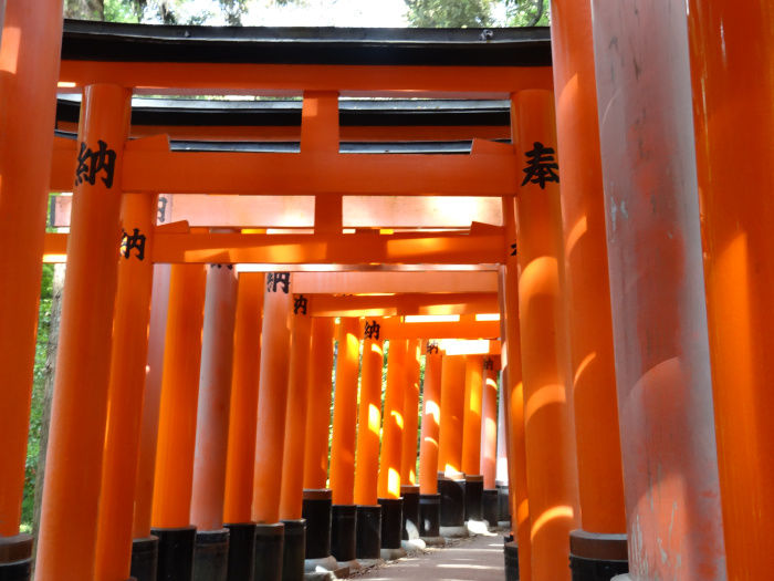 Photo of Japan: The 10 things I Miss and 1 Thing I Don't 46/54 by Liv
