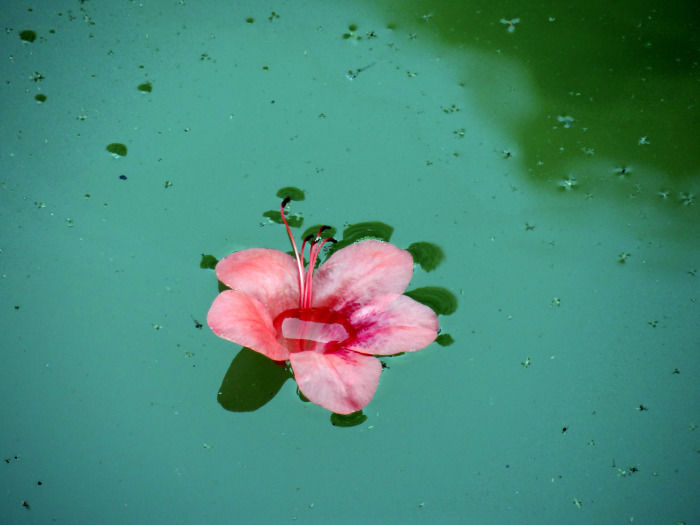 Photo of Japan: The 10 things I Miss and 1 Thing I Don't 39/54 by Liv