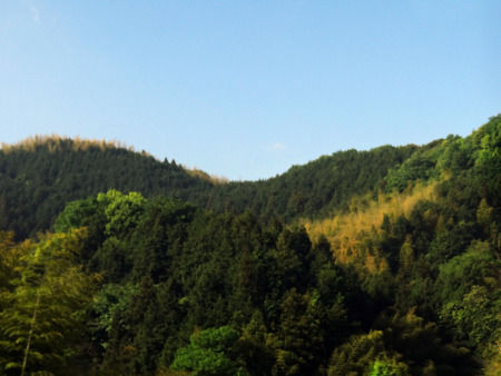 Photo of Japan: The 10 things I Miss and 1 Thing I Don't 4/54 by Liv