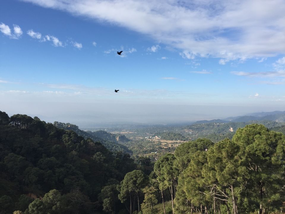 Photo of Trip to Mcleodganj Dharamshala by Manish Tiwari