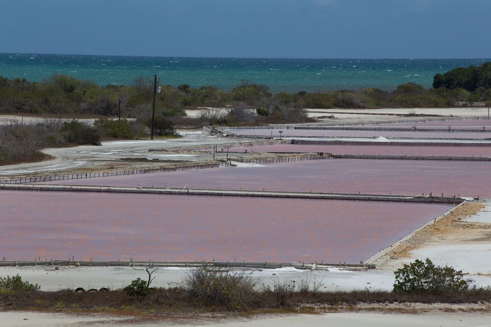 Photo of Ponce-Cabo Rajo by Kanika Kalia