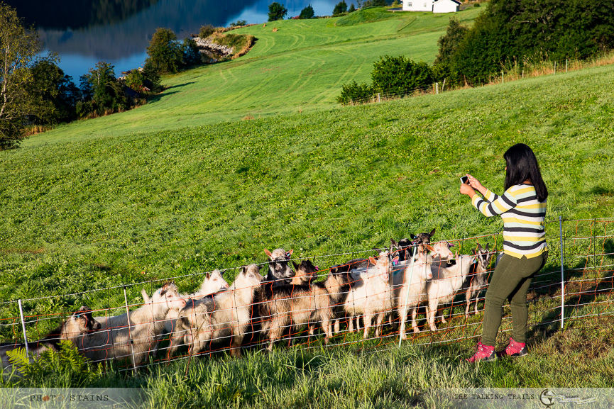 Photo of 8 Day Itinerary for Norway 8/10 by Kanika Kalia