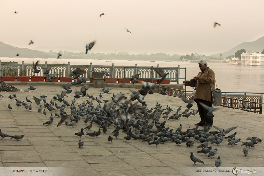 Photo of Udaipur: A complete travel guide. 17/23 by Kanika Kalia
