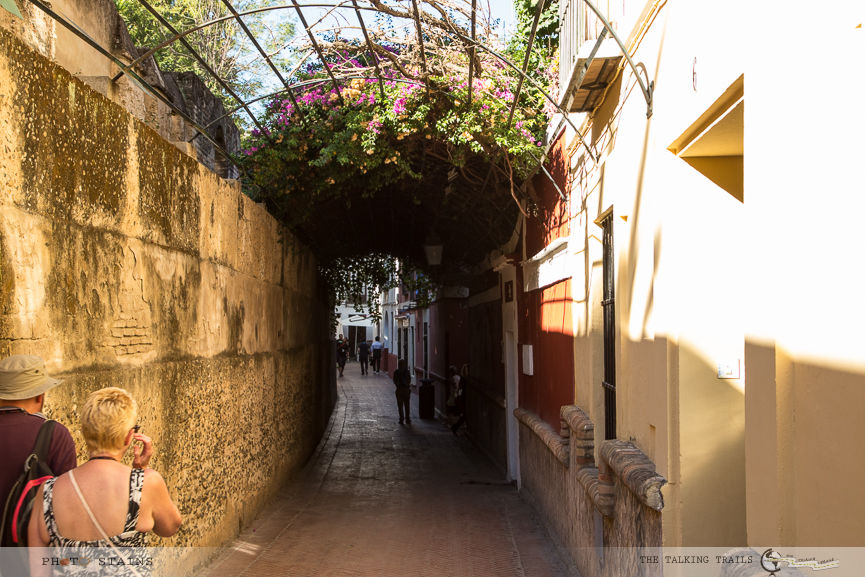Photo of Seville : Things to Do in 48 Hours 17/21 by Kanika Kalia
