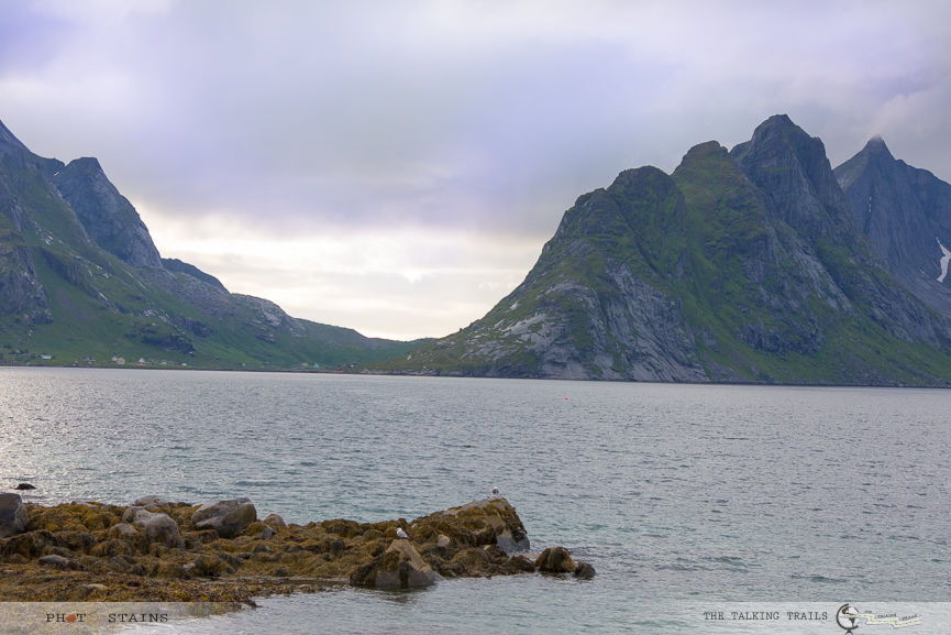 Photo of Lofoten Islands – A Complete Travel Guide by Kanika Kalia