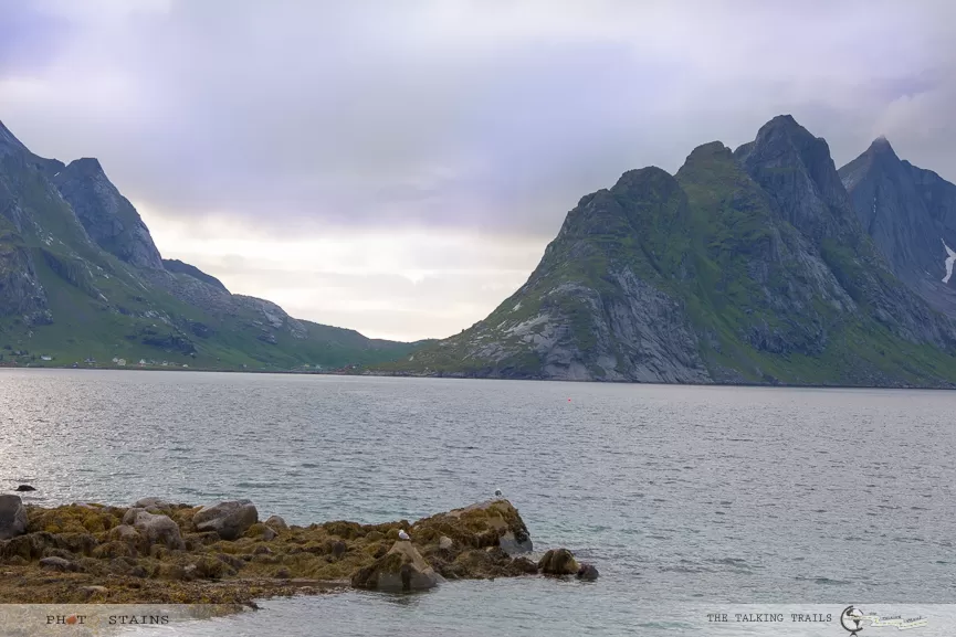 Photo of Lofoten Islands – A Complete Travel Guide by Kanika Kalia