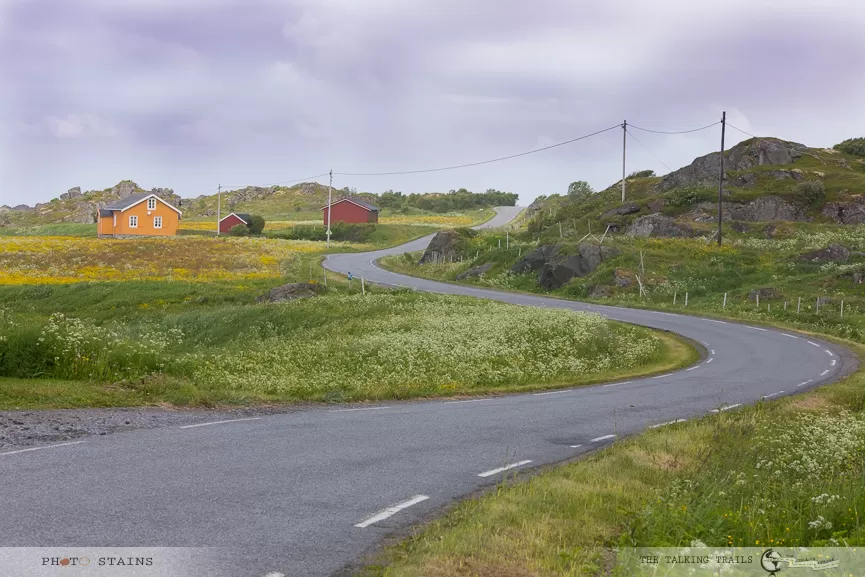 Photo of Gimsøy, Vågan, Norway by Kanika Kalia