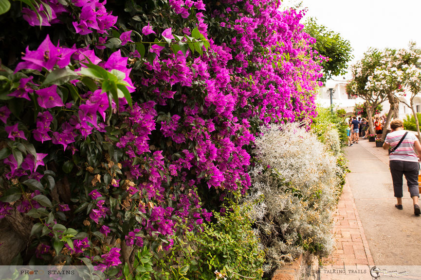 Photo of ISLAND OF CAPRI – A DAY TRIP GUIDE by Kanika Kalia