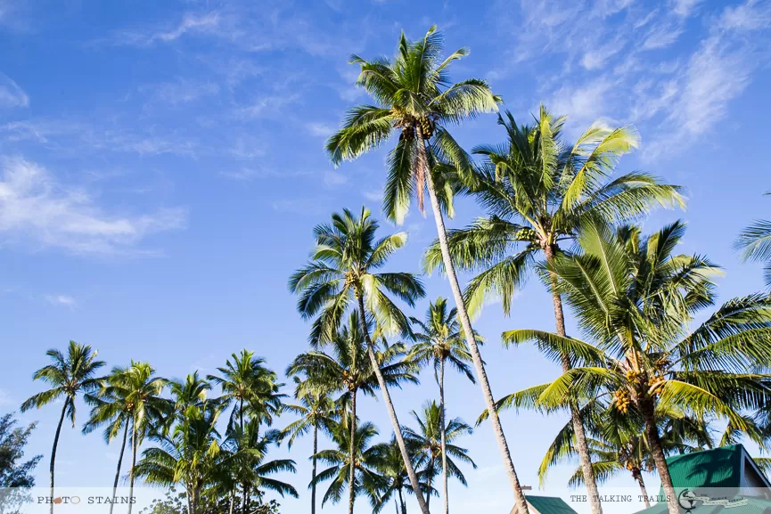 Photo of Hilo, HI, United States by Kanika Kalia