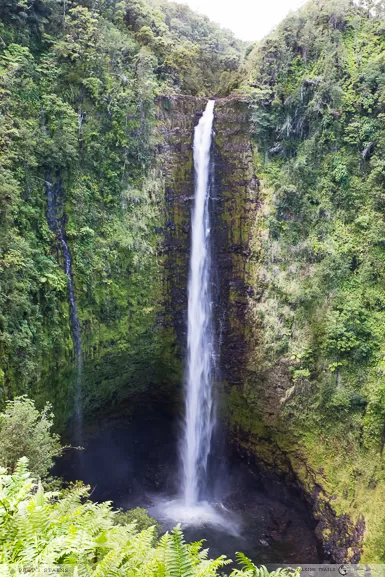 Photo of Akaka Falls Road, Honomu, HI, United States by Kanika Kalia